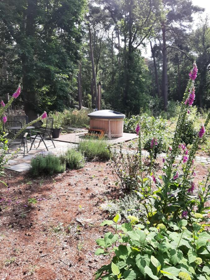 Vakantiehuis met hottub en barrelsauna Ommen Buitenkant foto