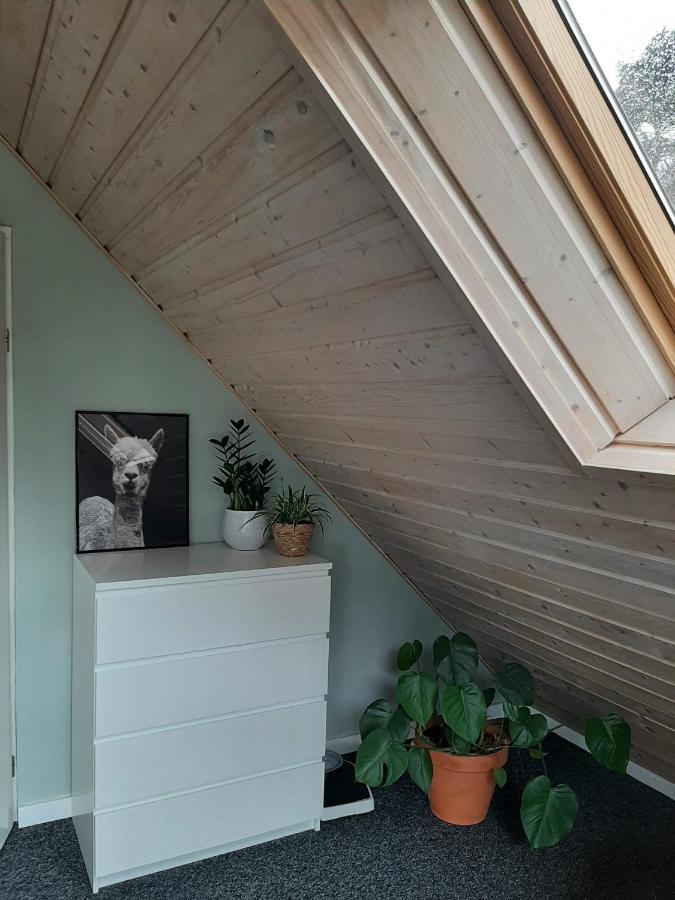 Vakantiehuis met hottub en barrelsauna Ommen Buitenkant foto