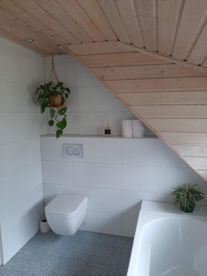 Vakantiehuis met hottub en barrelsauna Ommen Buitenkant foto