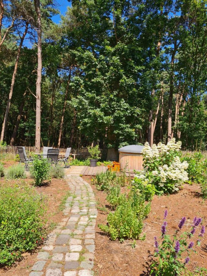 Vakantiehuis met hottub en barrelsauna Ommen Buitenkant foto